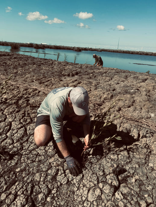 Restoring Coastlines in South Louisiana